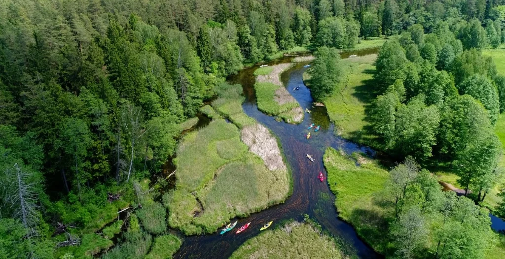 Widok z lotu ptaka