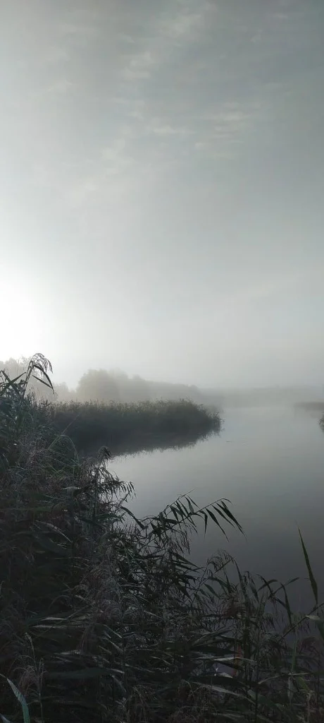 Dzikie Odcinki: Frącki – Dworczysko